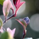 환희농장 이미지