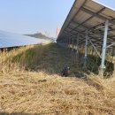 대한크레인태양광발전소 이미지