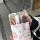 237유통 | <오이와케 당고 혼포> 도쿄여행 중 찾은 신주쿠당고 맛집 후기 - 도쿄당고, 오이와케 당고 혼포