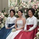 제이헤어모드 | 제이바이로이스타 혼주 헤어 후기(짧은 단발머리)