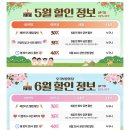 판타지 미술 퍼포먼스 페인터즈 | 서울 아이와 가볼만한 곳! 퀄리티 엄청난 미술공연 페인터즈 강추