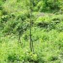 초입농장 이미지