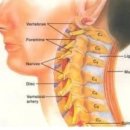 요통,경추질환,목 디스크 이미지