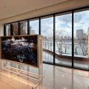 더갤러리 이미지