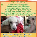 예솔
