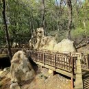 자연생태공원 부천식물원 이미지