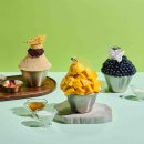 고운프라자 이미지