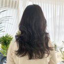 헤어살롱 다움