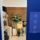 대전 둔산동 사진관 1207스튜디오 (ft. 만삭 프로필 촬영)