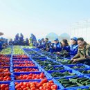 재건농장 이미지