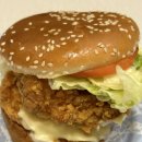 버거플렉스 이미지