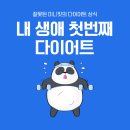 미니핏다이어트