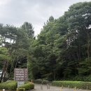 형아네분식 | 16개월 아기랑 과천 <그라운드플래닛 서울대공원점>대형키즈카페 다녀온 후기—!