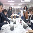 신안원예 | 신안군 장산으로 떠난 출강 수업, 학부모 테라리움 만들기 클래스
