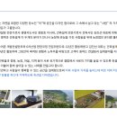 터인스
