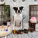 씻고놀개 이미지