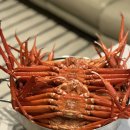 안녕후포리 | 후포리 홍게 택배 추천 내돈내산 가성비 최고 후포청년대게 후기