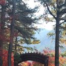 기찬랜드 관광안내소 이미지