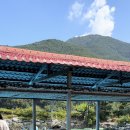 용정농원 이미지