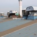 공단칼라 네이버블로그