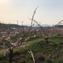 성제국한의원 이미지