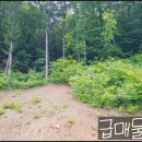 단월공인중개사사무소 네이버블로그