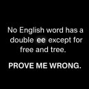 ee를 포함하는 영어 단어는 free, tree 뿐임 이미지