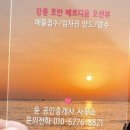 강릉제일공인중개사사무소 네이버블로그