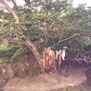 월평5호 이미지