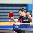 이토코리아 이미지