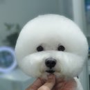 그 남자의 grooming # 공간 이미지