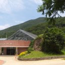 마트짱 맞은편 이미지