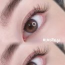 비비래쉬 이미지