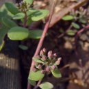 영남유치원 이미지