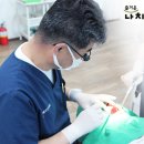 즐거운나치과의원 네이버블로그