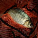 용대리낚시터 이미지