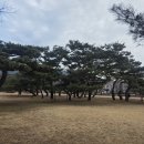 솔밭공원 티스토리