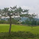 I골프연습장 이미지