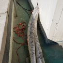 동남여인숙 이미지