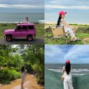 투어 ② 현지 업체 Thuong Jeep Mui Ne 추천(이중 도로, 용과 정원, 레드 샌듄, 피싱 빌리지, 페어 스트림)