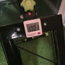 오마이핏 헬스장 | [홈트레이닝] 집에서 타는 천국의 계단, 스텝퍼 내돈내산 1,000개 밟아본 솔직 후기 (효과, 칼로리, 가격)