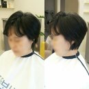 도유보네르