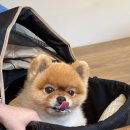 봄봄유치원 | 내돈내산 니치039 시공매트(강원지사) 계약후기 🩶