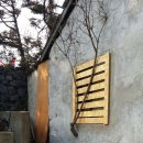 올리브나무어린이집 이미지