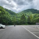 다리안민박 이미지