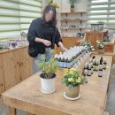 생활의 향기 이미지