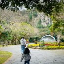 천지연산책로(폭포안) | 제주 천지연폭포 소요시간 &amp; 입장료 후기, 휠체어·유모차도 편한 평지 산책로