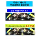 서진셀프주유소 이미지