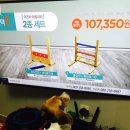 이웅종 <b>이즈바</b> <b>어질리티</b> 폴점핑 이벤트 후기