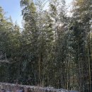 다담한옥 이미지